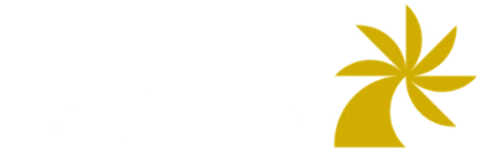 MJ Global Leisure